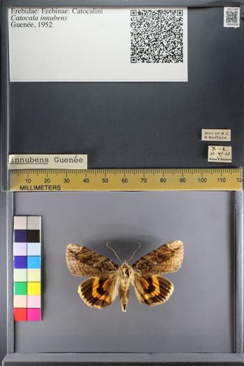 Media type: image;   Entomology 640195